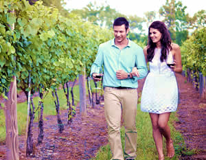 Athens Winery Bus Tour with Italian Lunch